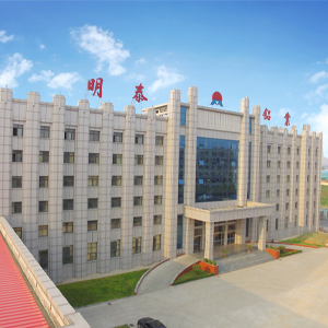 河南(nan)泰鴻新(xin)材(cai)料有(yǒu)限(xian)公(gōng)司