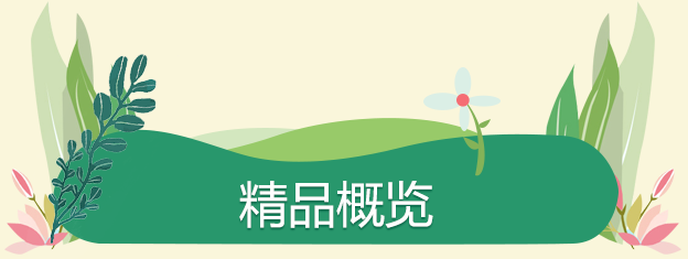 精(jīng)品(pin)概覽
