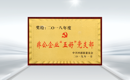 回郭鎮非(fei)公(gōng)齊(qi)業五好黨支部(bu)
